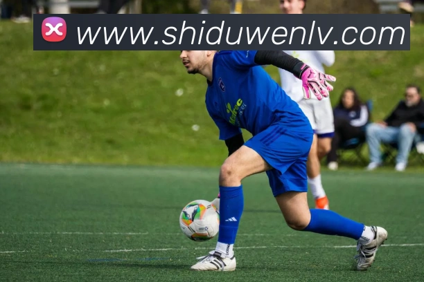 w66官网平台生态图